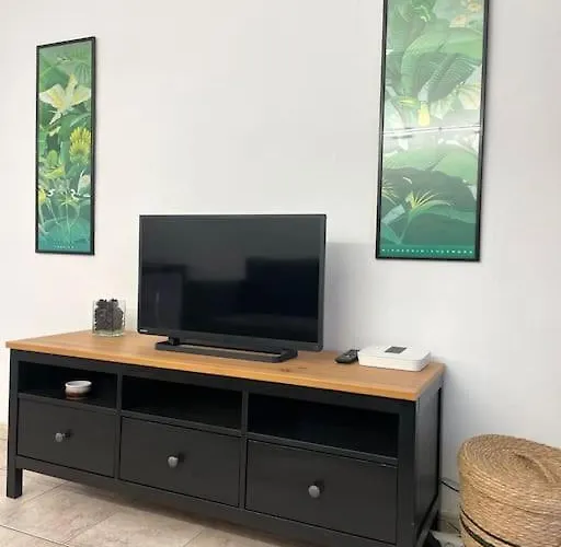 Cecilia Apartmentplaya De Americas 아파트