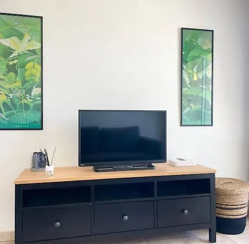 Cecilia Apartmentplaya De Americas