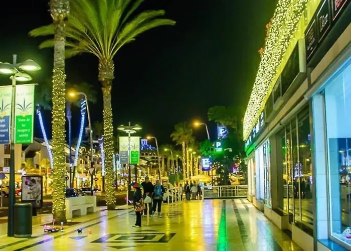 Cecilia Apartmentplaya De Americas *